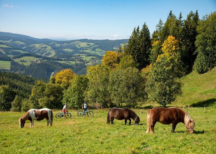 Gasthof & Pension Kurparkstübl Gasthof